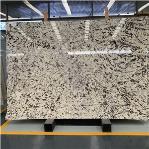 Snow Mountain Silver Fox Granite Slabs For Interior Wall